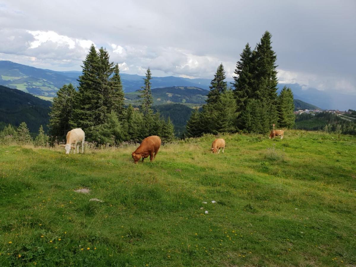 Klippitzhimmel Villa Klippitztorl Kültér fotó